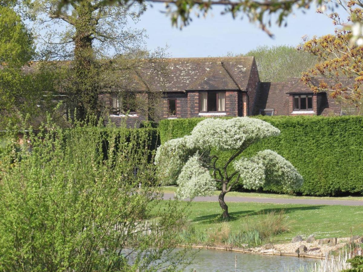 Northlands Farm - Old Farm Cottage Chichester Exterior photo